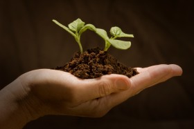 Sustainable growth - Bzcon - Business Consulting